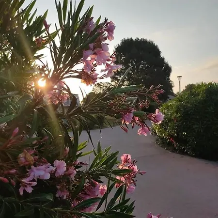 Fiori Di Cala Rossa Residence Hoteliere Lecci Exterior photo